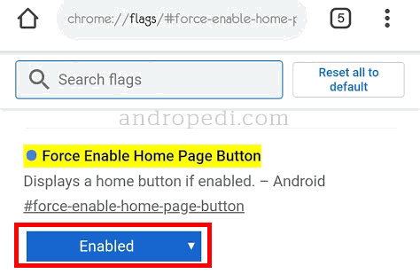 Chrome ana sayfa ikonu ekleme