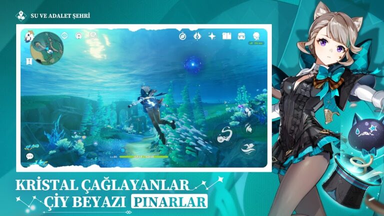 Oyun içi görünüm