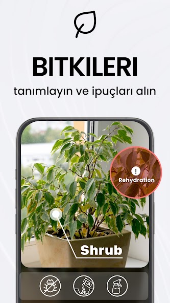 OCR dil seçimi