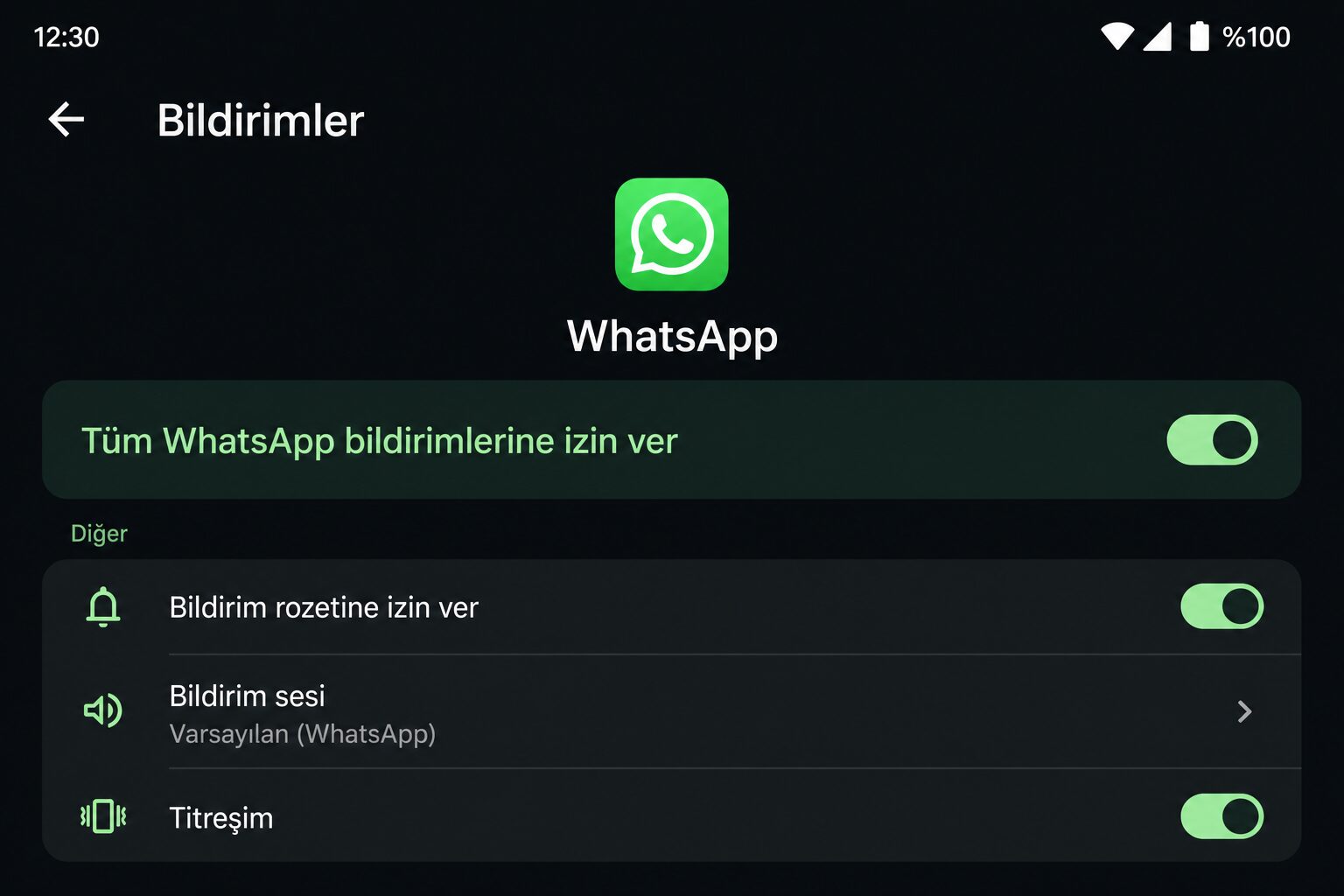 Bildirim izinleri ayarı
