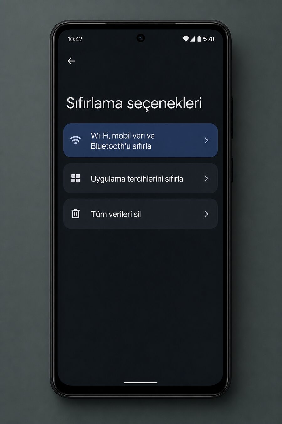 Ağ sıfırlama seçenekleri