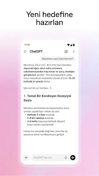 Sesli sohbet paneli